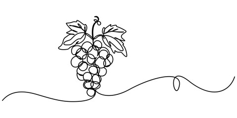 Continuous Line Drawing Of Grapes On A Transparent background, Vector illustration of grape isolated on white background. For kids coloring book, Winery Grapes Thin Line Icon On A Transparent