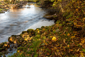 fast river between stones, stream of water passes the stone, ecology in the river, beautiful natural environment as background, blurred stream of water