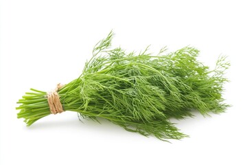 A Bunch of Fresh Green Dill Sprigs on a White Background