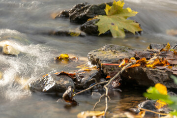 fast river between stones, stream of water passes the stone, ecology in the river, beautiful natural environment as background, blurred stream of water