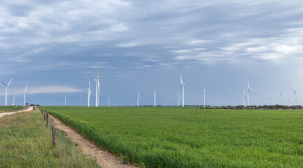 A wind turbine farm, Australia's largest when built in 2005, standing in a green crop field under an overcast sky near Edithburgh on the Yorke Peninsula in South Australia.