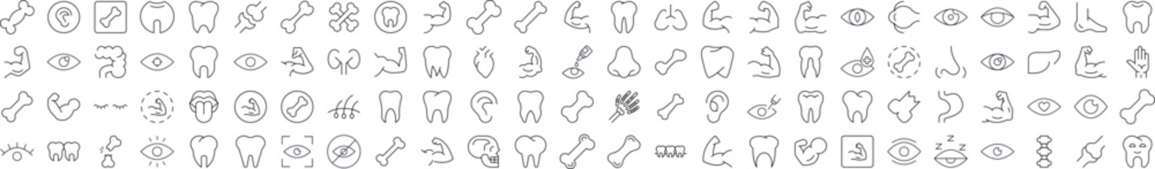 Bundles, Eye, Tooth, Muscle, Internal Organs Images Drawn with Thin Line. Collection of Various Design Elements that Can Be Used for Apps, Articles, Web Sites, Social Media