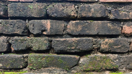 Close-up detail of an old brick wall partly covered in green moss