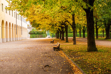 Lonely park benches under colorful trees with autum folliage in the Hofgarten Park in Munich,Germany
