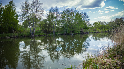 A river in the wild in summer