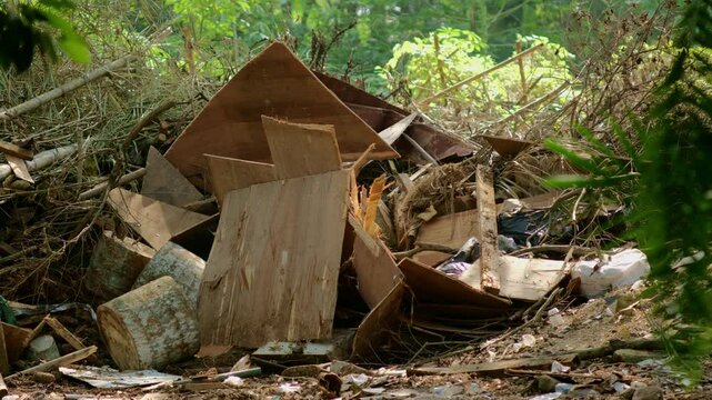 Chaotic pile of wood, plastic, and tree remnants, illustrating the grim aftermath of illegal logging. This scene highlights environmental degradation and the urgent need for conservation efforts