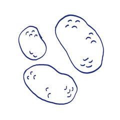 Potato. Vegetable sketch. Hand drawn blue pen or marker drawing. Primitive kids picture