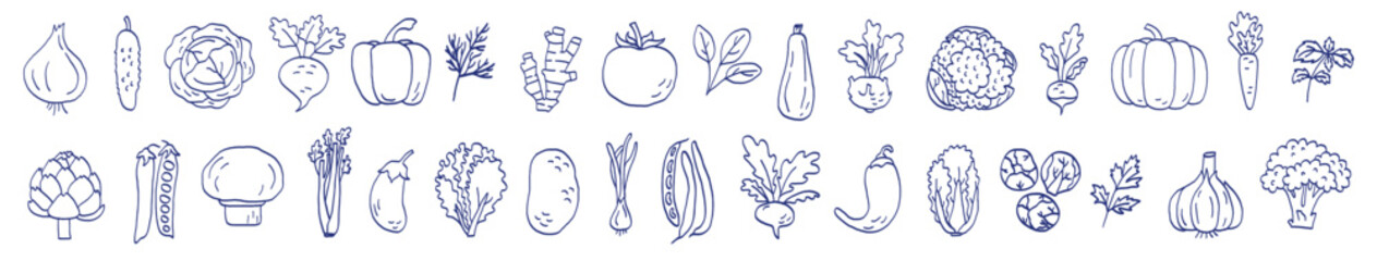 Vegetable sketch. Onion, garlic, tomato, cucumber and carrot. Beets, pepper, potato and cabbage. Radish, eggplant, pumpkin, spinach, artichoke and mushroom. Hand drawn blue pen or marker drawing