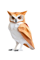 A low polygon style owl, isolate on white background, formed with geometric shapes and vibrant colors. cutout png
