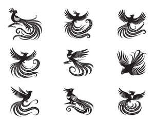 Set of  Resplendent quetzal silhouette design - Pharomachrus mocinno Vector illustration
