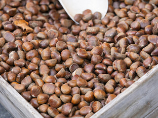 chestnut at market in la spezia in italy