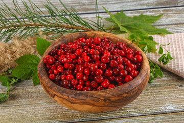 Natural organic wild forwst lingonberry