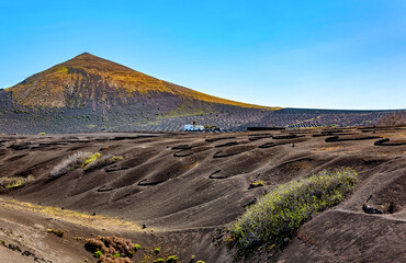 Volcanic landscape, La Geria, Island Lanzarote, Canary Islands, Spain, Europe.