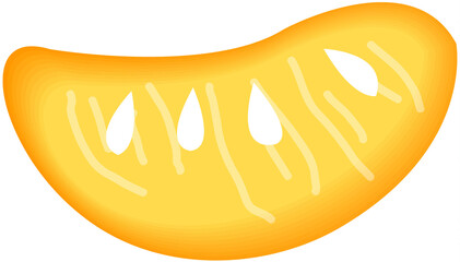 Pomelo or Grapfruit Icon 