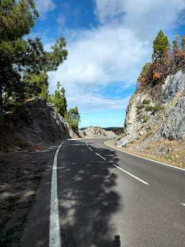 Mountain road TF-24, Island Tenerife, Canary Islands, Spain, Europe.