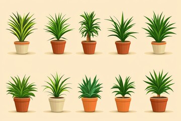Obraz premium Clean and organized display of potted indoor plants in terracotta planters arranged on a soft orange backdrop highlighting symmetry and minimalist decor for home gardening inspiration