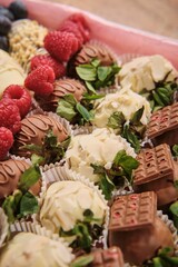 Chocolate-Covered Strawberries with Fresh Fruits