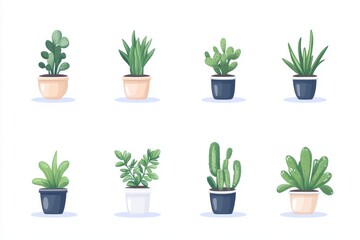 Obraz premium Collection of potted succulents in minimalist ceramic planters creating a clean modern aesthetic perfect for home decor office spaces or urban gardening inspiration