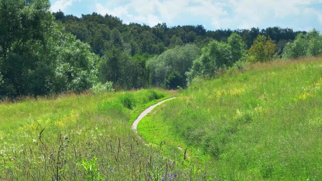 A well-trodden road in a field. Narrow footpath in a field with grass. Empty path for hiking and walking in nature.
