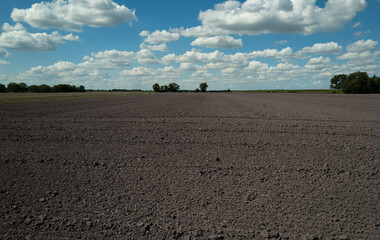 Agriculture concept. Gardening season concept. Texture of fertile soil. Soil for gardening. Mud on...