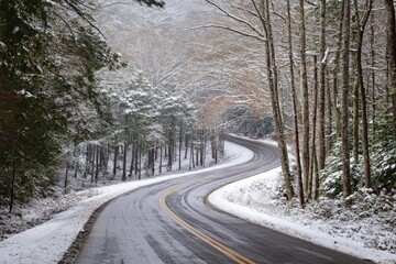 Obraz premium A winding road gently snakes through a captivating winter forest, with snow-laden branches creating a tranquil and ethereal setting perfect for peaceful journeys.
