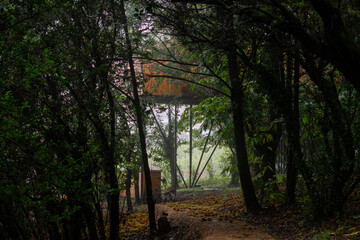 Cabaña de madera en mitad del bosque