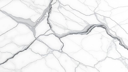 Fototapeta premium White Marble Texture with Grey Veins,