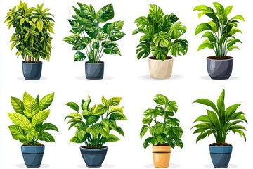 Obraz premium Realistic potted houseplants in modern white and terracotta planters ideal for eco conscious home decor small space gardening or plant care projects