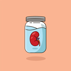Kidney Organ In Jar Cartoon Vector Icon Illustration. Education Object Icon Concept Isolated Premium Vector. Flat Cartoon Style