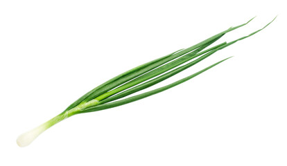 Spring onions isolated on white
