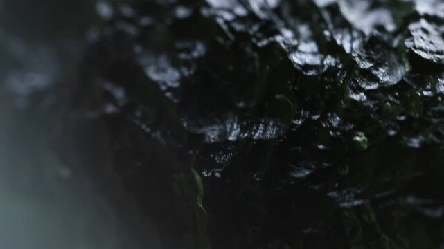 Moldavite gemstone extreme close up. Precious tektite from the Czech Republic. Green glass