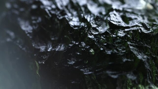 Moldavite gemstone extreme close up. Precious tektite from the Czech Republic. Green glass
