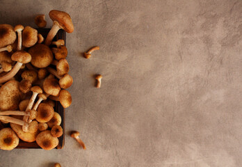 Fresh raw honey mushrooms in a wooden box on a beige background