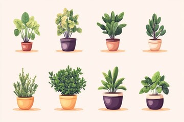 Fototapeta premium Minimalist vector illustration of succulents in terracotta pots neatly arranged perfect for home decor educational materials or small space gardening ideas