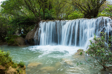 Obraz premium waterfall in the forest