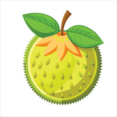 vector illustration of an orange fruit