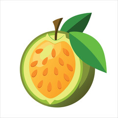 vector illustration of a ripe watermelon