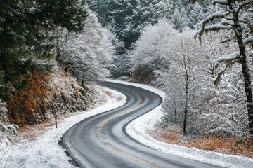 Obraz premium A freshly covered snowy road curves gently through a thick forest, showcasing the harmony of nature and human paths, offering a scenic view and peaceful respite.