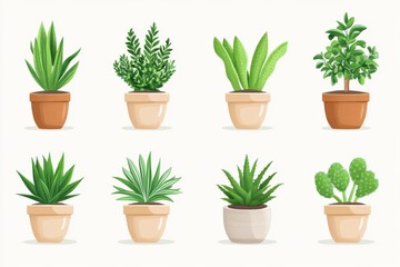 Obraz premium Set of various potted indoor plants in minimalistic ceramic pots symbolizing indoor greenery modern plant care and eco friendly home decor
