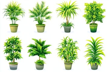 Obraz premium Various indoor palm plants arranged in modern planters symbolizing tropical home decor plant care and lush indoor gardening practices
