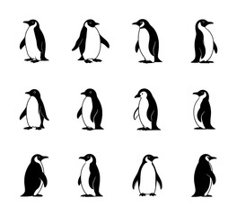penguin silhouette set on isolated background