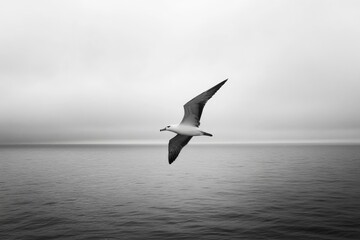 An albatross gracefully flies above the tranquil ocean, its wings outstretched under an expansive, cloud-covered sky, capturing the essence of freedom and solitude.