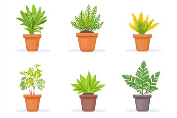 Fototapeta premium Collection of potted plants in terracotta and ceramic containers showcasing popular indoor plant species and modern home decor trends for green living spaces
