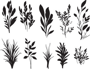 Set of silhouette plants, plant design. Hand drawn vector illustration