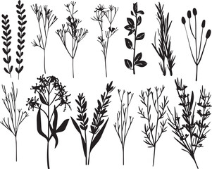 Set of silhouette plants, plant design. Hand drawn vector illustration