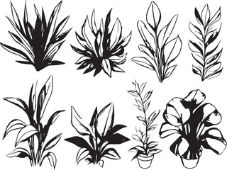 Set of silhouette plants, plant design. Hand drawn vector illustration