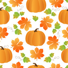 Seamless pattern with hand drawn autumn chestnut leaves, pumpkin on white background. 
