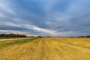 Obraz premium A field of yellow grass with a cloudy sky in the background