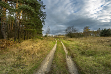 A road in a field with trees in the background