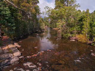 Stream through the Trees with Reflections Tasmania